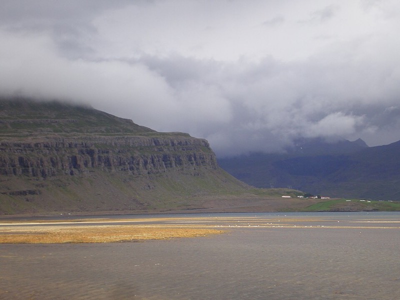 Búlandsnes (birdwatching)