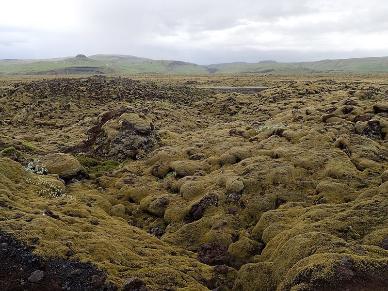 Eldhraun (campo di lava del Laki)