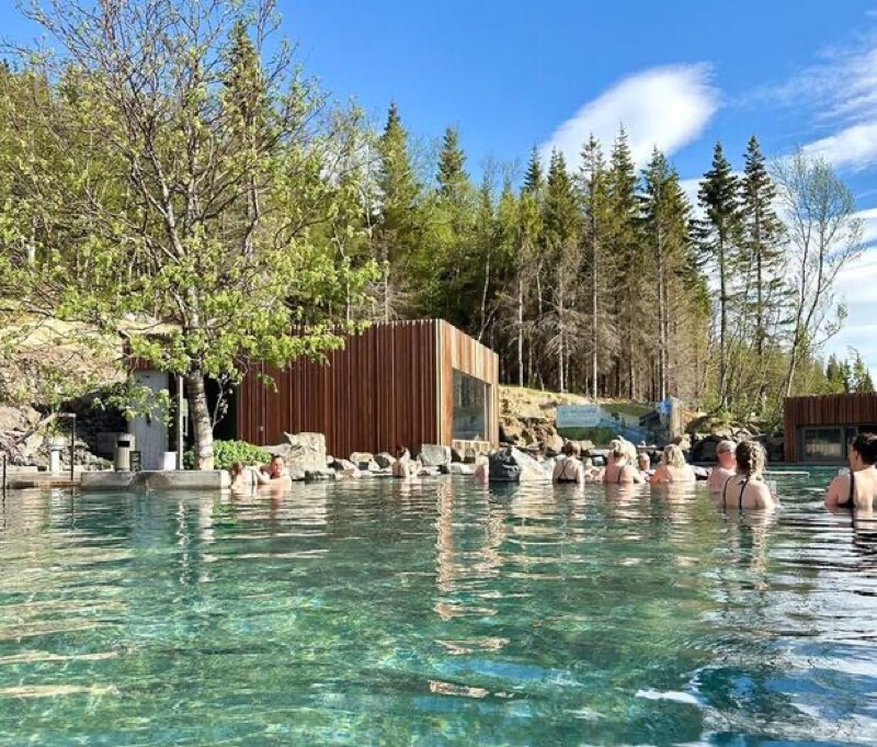 Forest Lagoon