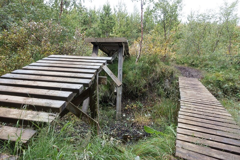 Kjarnaskógur