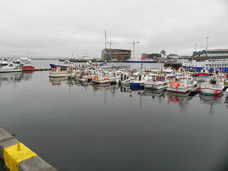 Vecchio Porto (Old Harbour) + Laugavegur